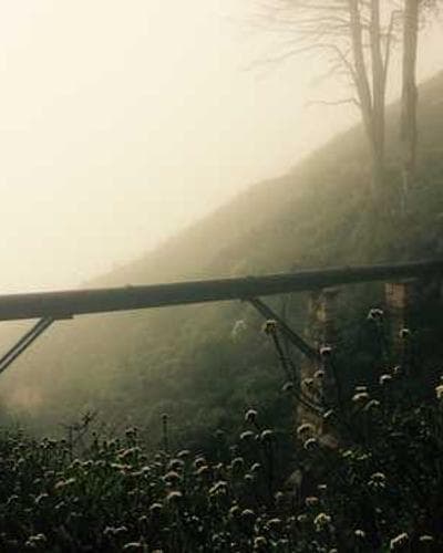 חולצה פרחונית